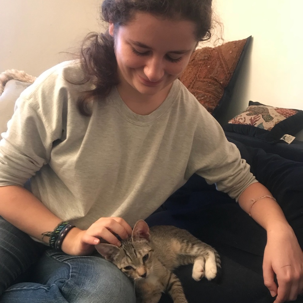 Meet your Posher, Dora
